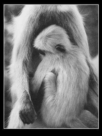 166 AFFECTION
