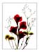 040 Photogram