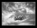 074 Gigt Of God